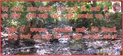 Discovery of Bastar - a book by Sharad Gaur and Kavita Gaur